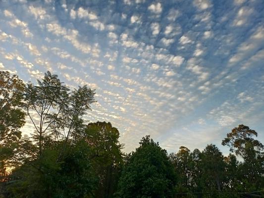 Lifeforce Healing Massage Ravenshoe
